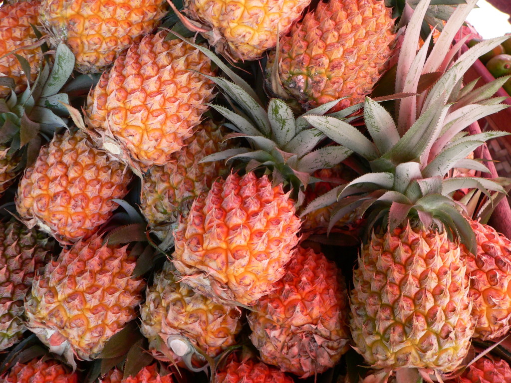 Ananas - Robert Berger
